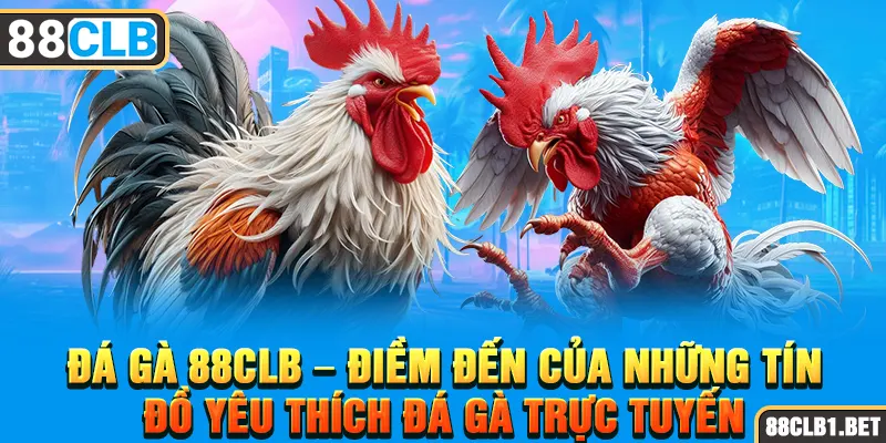 Đá Gà 88CLB – Điềm đến của những tín đồ yêu thích đá gà trực tuyến