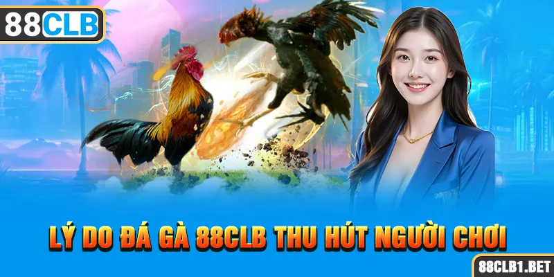 Lý do Đá Gà 88CLB thu hút người chơi